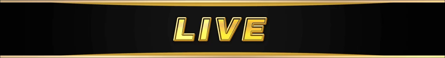 paldo77 Live Casino
